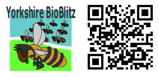 Yorkshire BioBlitz - Logo and QRCode
